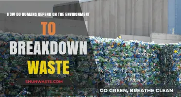 Nature's Cleanup Crew: How Ecosystems Sustainably Breakdown Human Waste