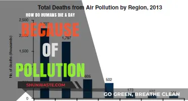 Pollution's Daily Death Toll: A Global Crisis