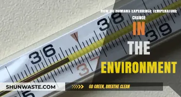 Human Perception of Environmental Temperature Shifts: Understanding Our Sensory Response