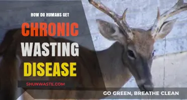 Understanding Chronic Wasting Disease: Transmission Risks to Humans Explained