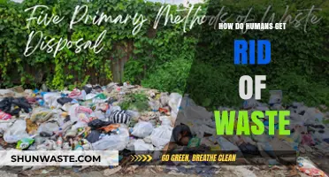 Effective Waste Disposal Methods: How Humans Manage and Eliminate Waste