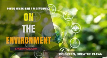 Sustainable Actions: How Humans Positively Transform the Environment