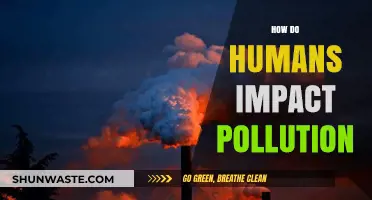 Human Activities: Pollution's Main Culprit