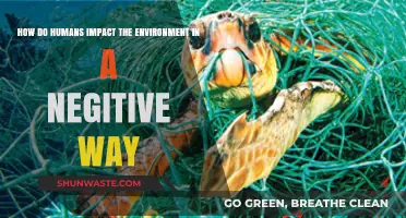 Human Actions, Environmental Consequences: Uncovering Our Negative Ecological Footprint