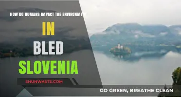 Human Impact on Bled, Slovenia's Environment: Causes and Solutions