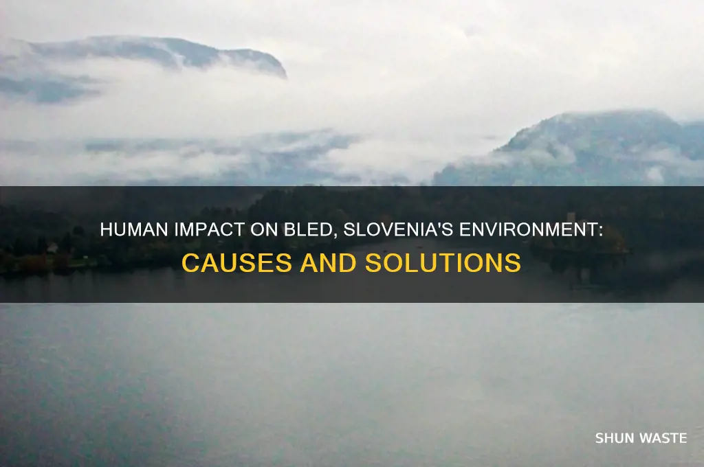 how do humans impact the environment in bled slovenia