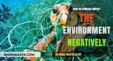 Human Actions and Their Devastating Effects on Our Planet