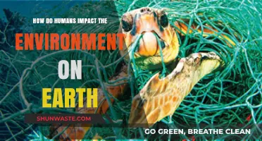 Human Actions, Earth's Future: Our Environmental Impact Explored