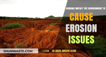 Human Activities Accelerating Soil Erosion: Causes and Environmental Consequences