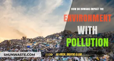 Human Pollution: Devastating Environmental Impacts and Urgent Solutions Needed