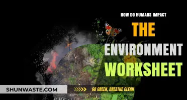 Human Impact on Environment: Understanding Our Ecological Footprint Worksheet