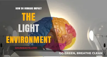 Human Influence on Light: Shaping Ecosystems and Urban Environments