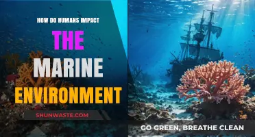 Human Activities and Their Devastating Effects on Marine Ecosystems