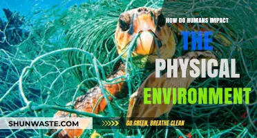 Human Activities and Their Profound Impact on the Physical Environment