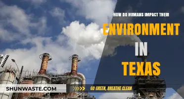Human Impact on Texas: Environmental Challenges and Sustainable Solutions