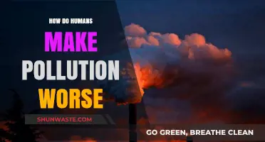 Human Impact: Worsening Pollution and Our Environment