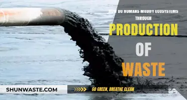 Human Waste Production: Transforming Ecosystems with Unintended Consequences
