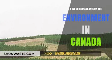 Human Impact: Shaping Canada's Environment Through Modification and Adaptation
