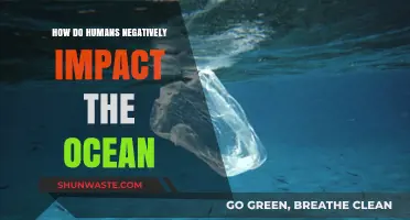 Human Impact: Oceans in Danger