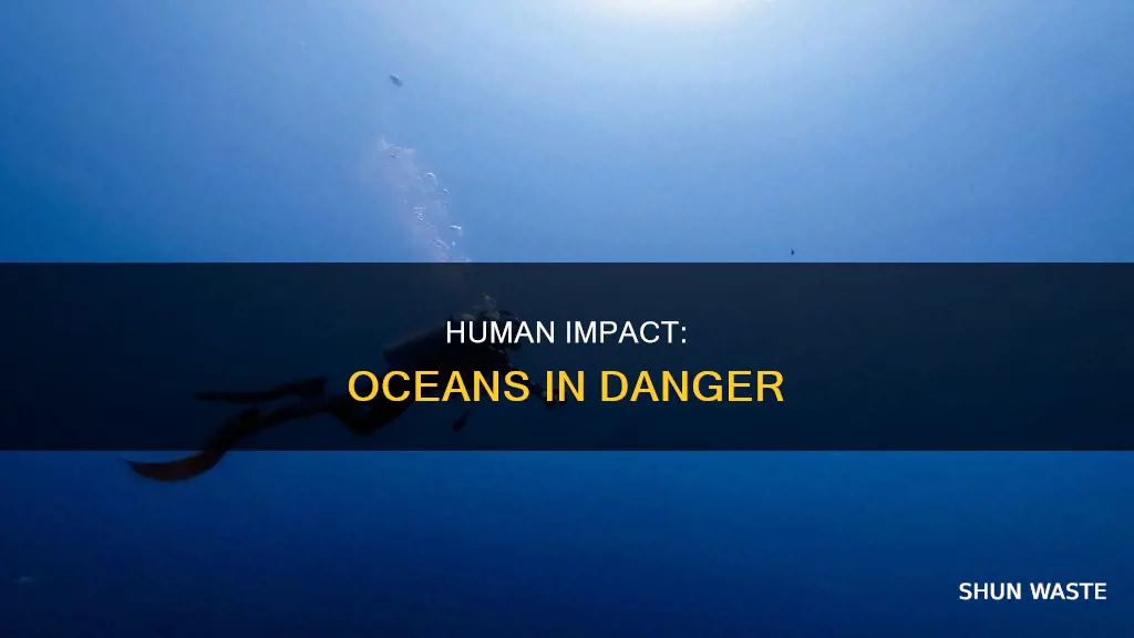 how do humans negatively impact the ocean