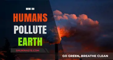 Human Impact: Polluting Our Earth