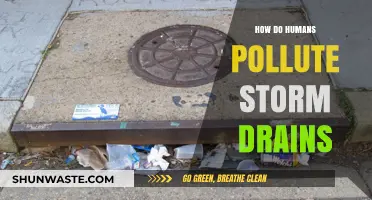 Human Impact: Polluting Storm Drains