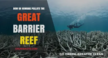 Human Impact: Polluting the Great Barrier Reef