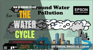 Human Impact: Uncovering Water Cycle Pollution