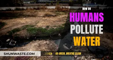 Unveiling the Human Impact: Water Pollution Explained