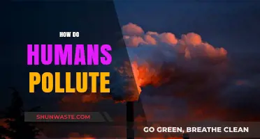 Human Impact: Polluting Our Planet
