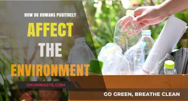 Human Actions Shaping a Greener, Sustainable, and Thriving Planet
