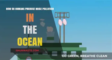Human-Caused Ocean Noise: A Growing Concern