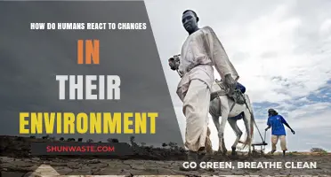 Adapting to Change: Understanding Human Responses to Environmental Shifts