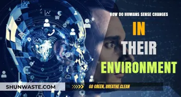 How Humans Detect Environmental Changes: The Science of Sensory Perception
