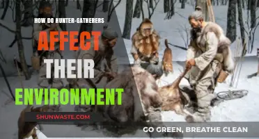 Hunter-Gatherers' Environmental Impact: Shaping Ecosystems Through Sustainable Practices