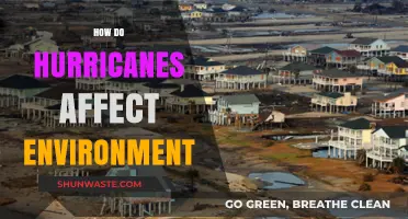 Hurricanes' Environmental Impact: Destruction, Recovery, and Long-Term Effects