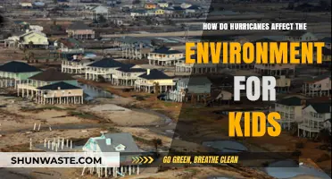 Hurricanes' Impact: How Storms Change Our Environment for Kids