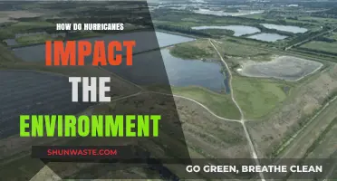 Hurricanes' Environmental Impact: Destruction, Ecosystem Changes, and Long-Term Effects