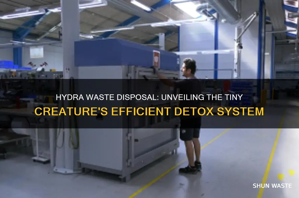 how do hydra get rid of waste