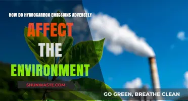 Hydrocarbon Emissions: Environmental Impacts and Long-Term Consequences Explained