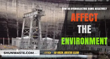 Hydroelectric Dams: Uncovering Their Hidden Environmental Costs and Impacts