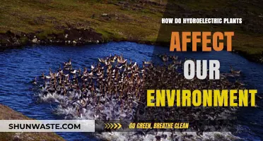 Hydroelectric Power's Environmental Impact: Benefits, Challenges, and Sustainability