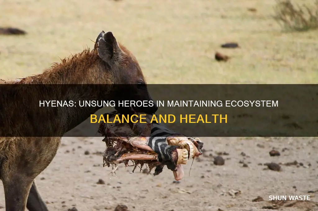 how do hyenas help the environment