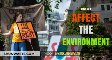 Your Daily Actions: Impacting the Environment in Surprising Ways