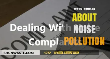 Addressing Noise Pollution: Your Right to Peace and Quiet