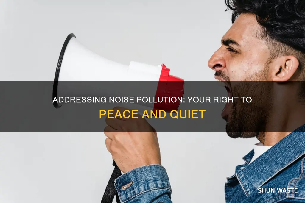 how do i complain about noise pollution