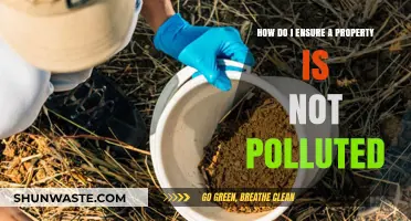 Property Purchase: Pollution Prevention Tips