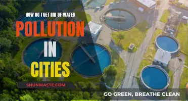 Clean Water Solutions: Strategies to Tackle Urban Pollution