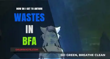 Navigating to Antoran Wastes in BFA: A Step-by-Step Guide