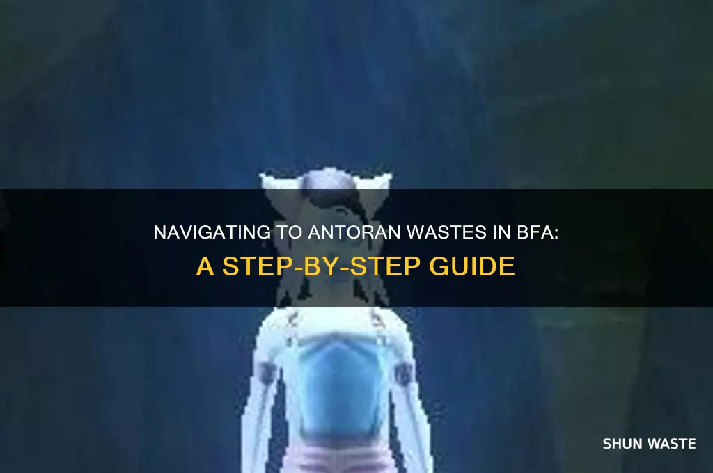 how do i get to antorn wastes in bfa